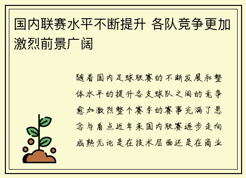 国内联赛水平不断提升 各队竞争更加激烈前景广阔