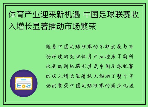 体育产业迎来新机遇 中国足球联赛收入增长显著推动市场繁荣