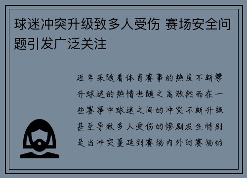 球迷冲突升级致多人受伤 赛场安全问题引发广泛关注